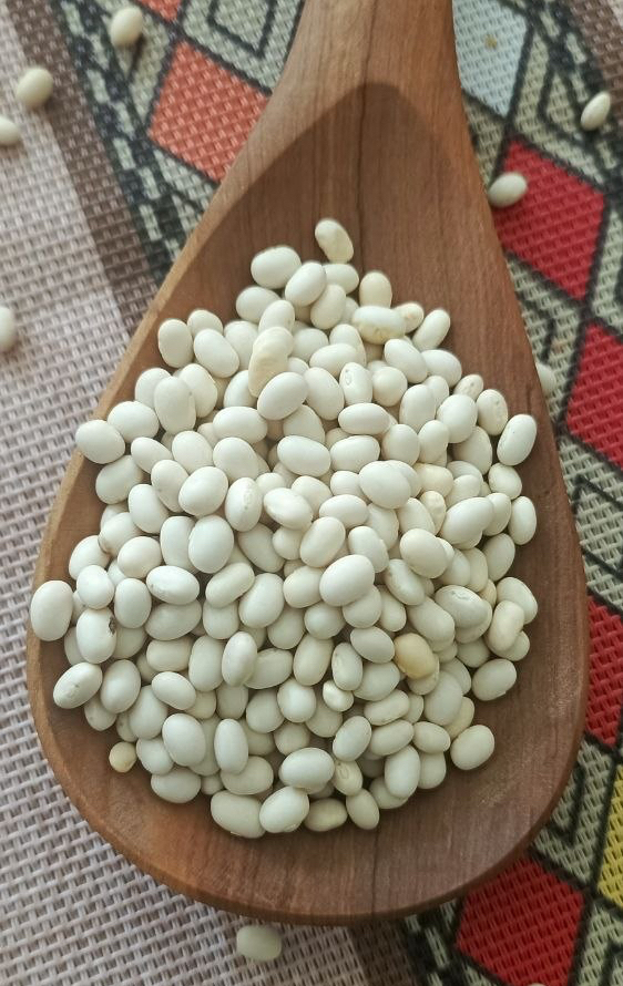 white pea beans (haricot beans)