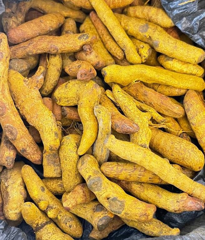 turmeric