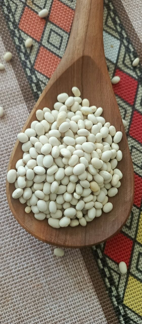 white pea beans (haricot beans)