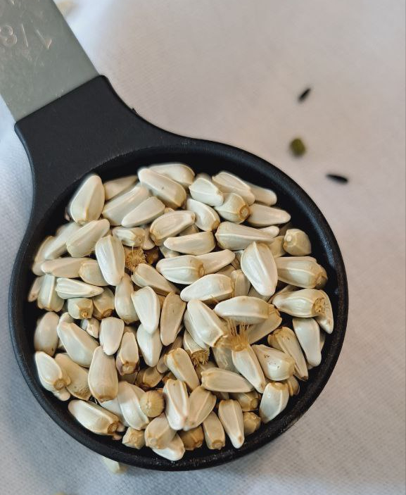 Sunflower Seed