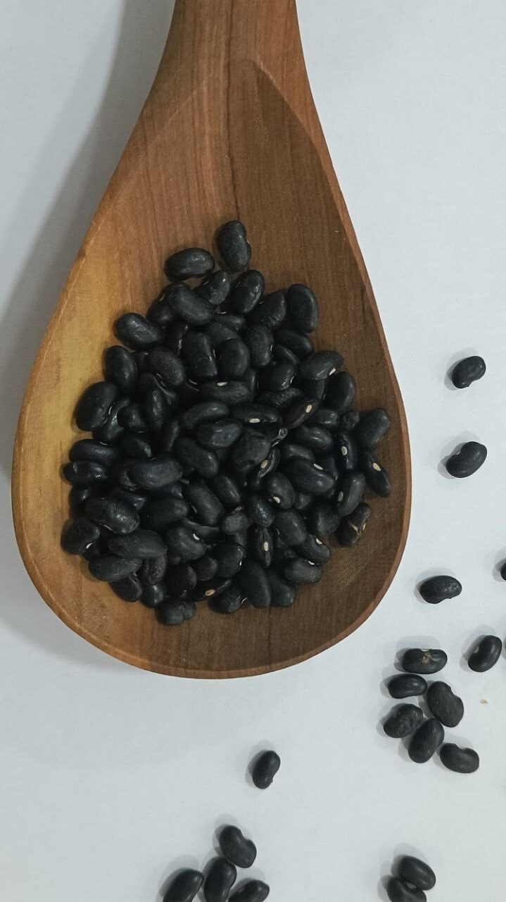 ashrei black beans in spoon 2