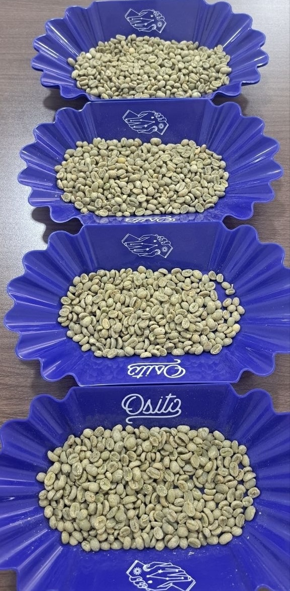 ashrei coffee in plates