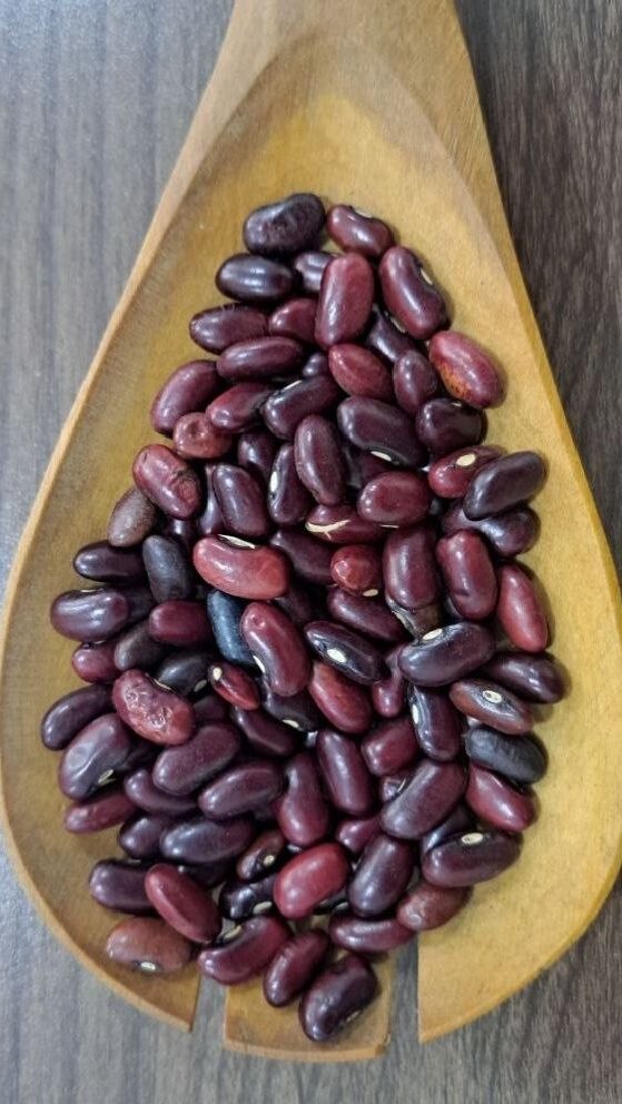 ashrei red beans in spoon