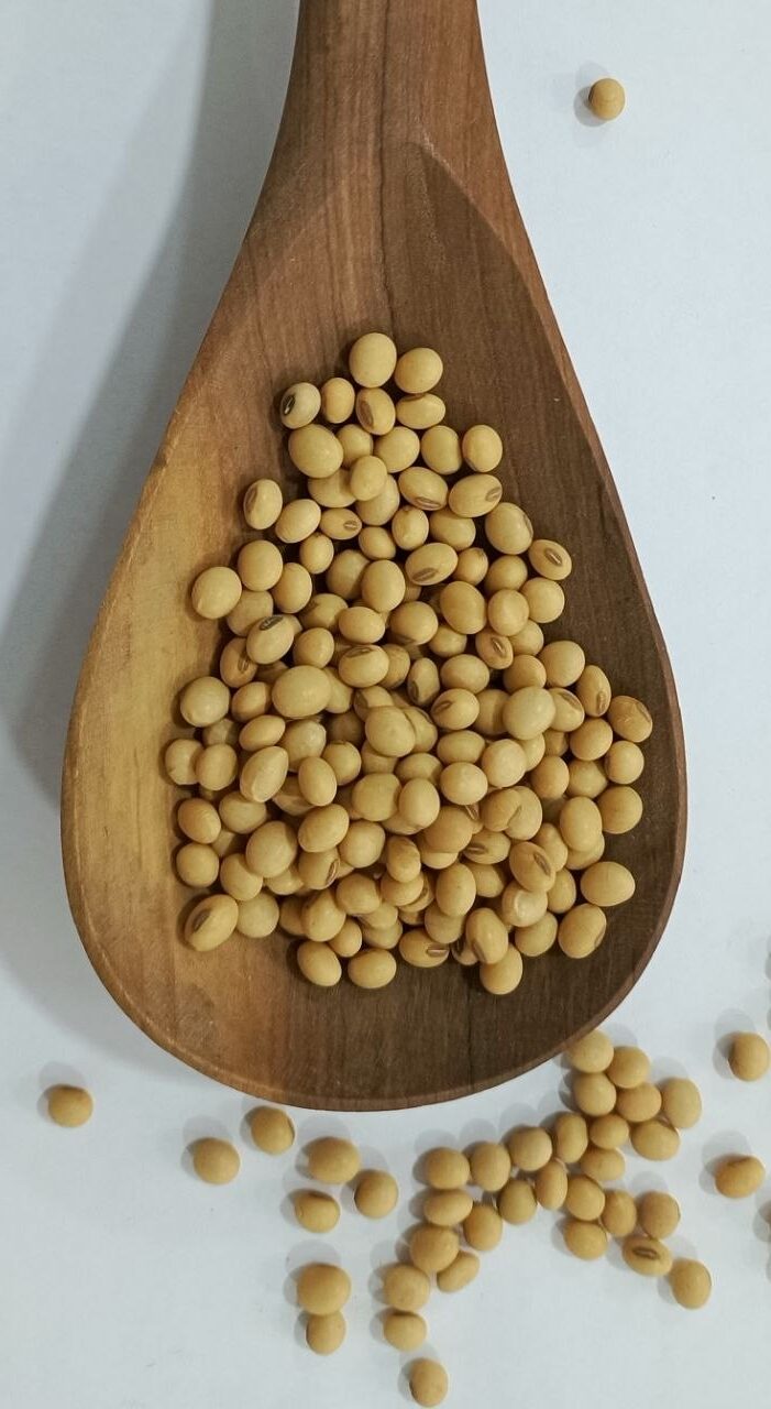ashrei soybeans in spoon2