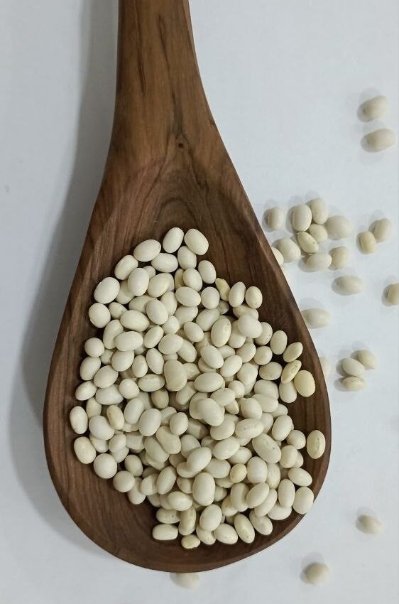 ashrei whitebeans in spoon